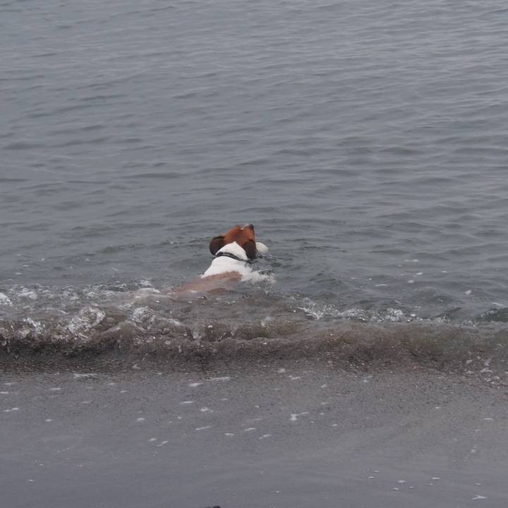 30bef49f c762 41a5 bf36 a3a0480127c1