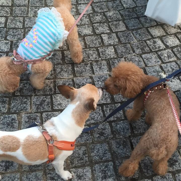 30bf50ed 8991 4dc4 a8f4 04f4e046a92d