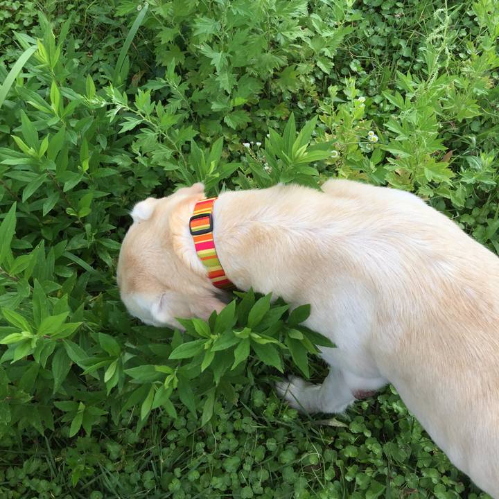 30c0e3fe d0e1 4c9f b4c9 a75c79f197d8