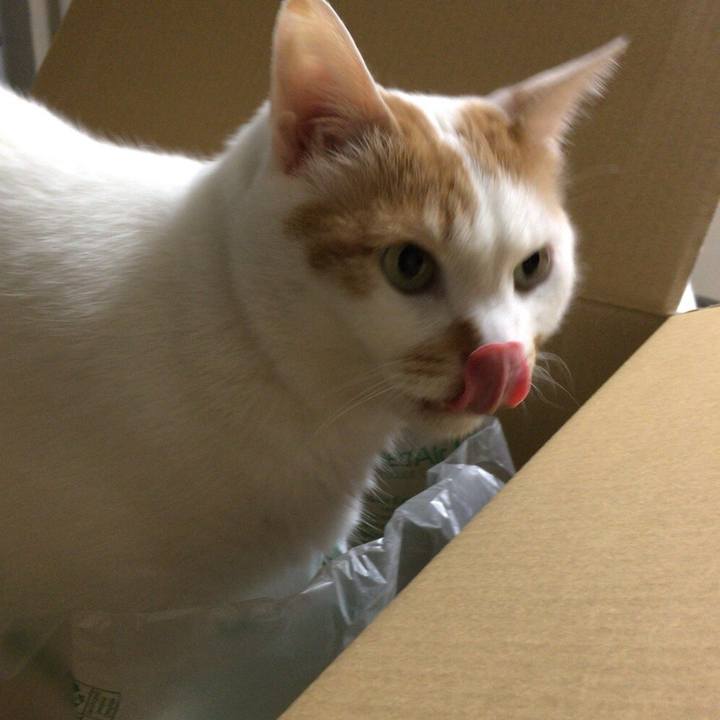 30c14911 01db 4d8c 9b98 f76223516b15