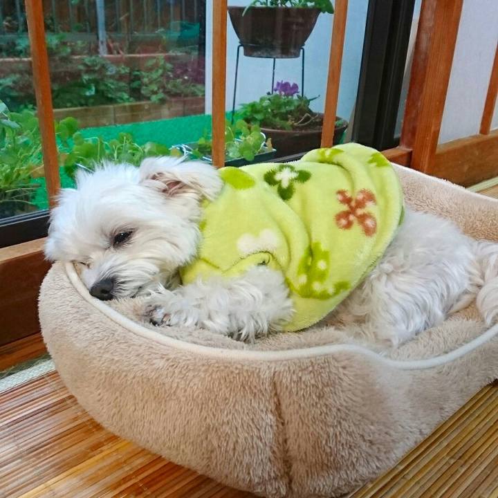 30c16a95 c72e 489d b983 f4a0f4b6c2d9