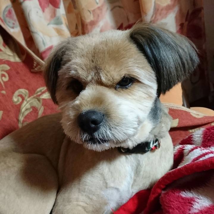 30c19ba1 5abe 4d29 b900 e4c0571c4c0a