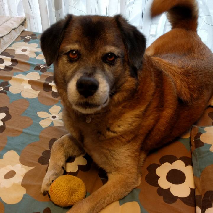 30c1a62e e31e 4c5c 8798 3a6449961755