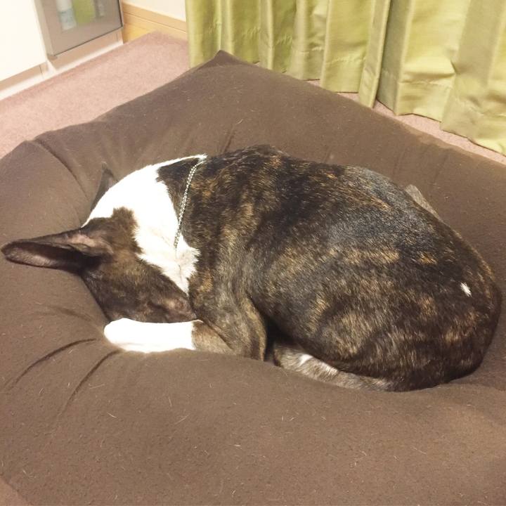 30c1e5db 3d35 479e 9ce4 92807f9dfb72