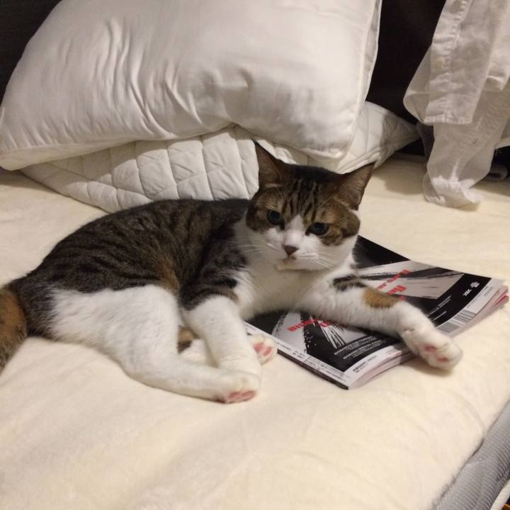 30c1ed17 a51e 4143 b620 6427c43064f9