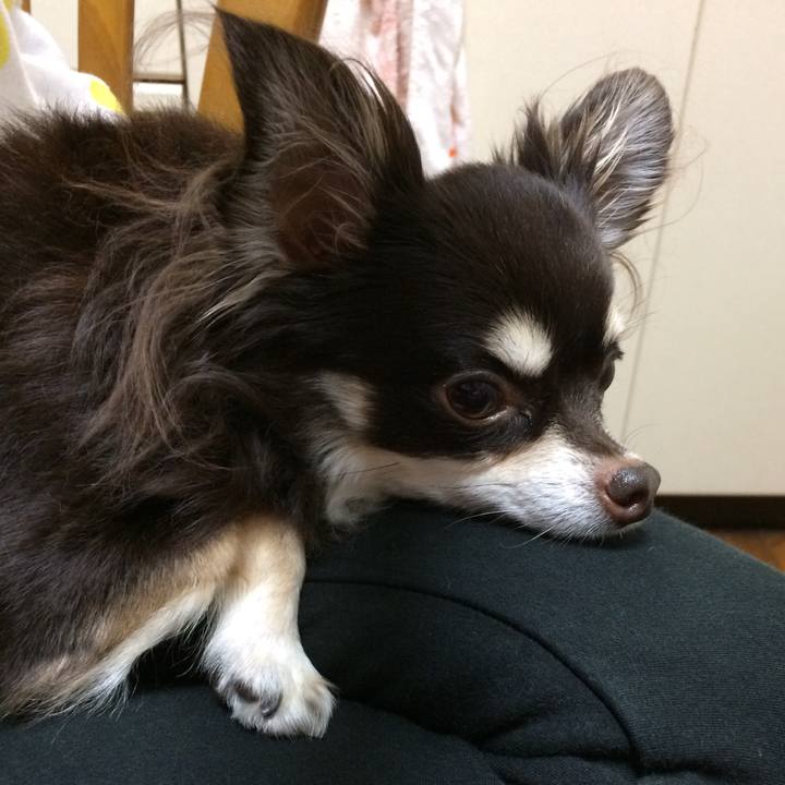 30c2012f d0ea 470c aeaf 49008482ca86