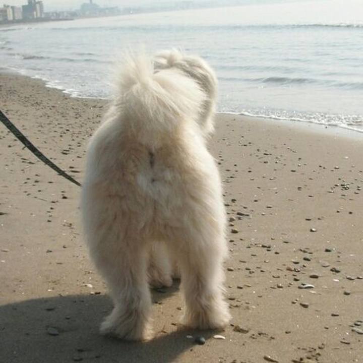 30c234eb ee1b 4cac 965f b9fca428bcc7