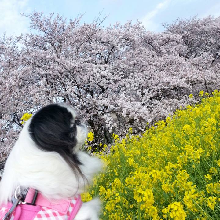 30c2a781 20a9 44a5 acaf ef465f6c016c