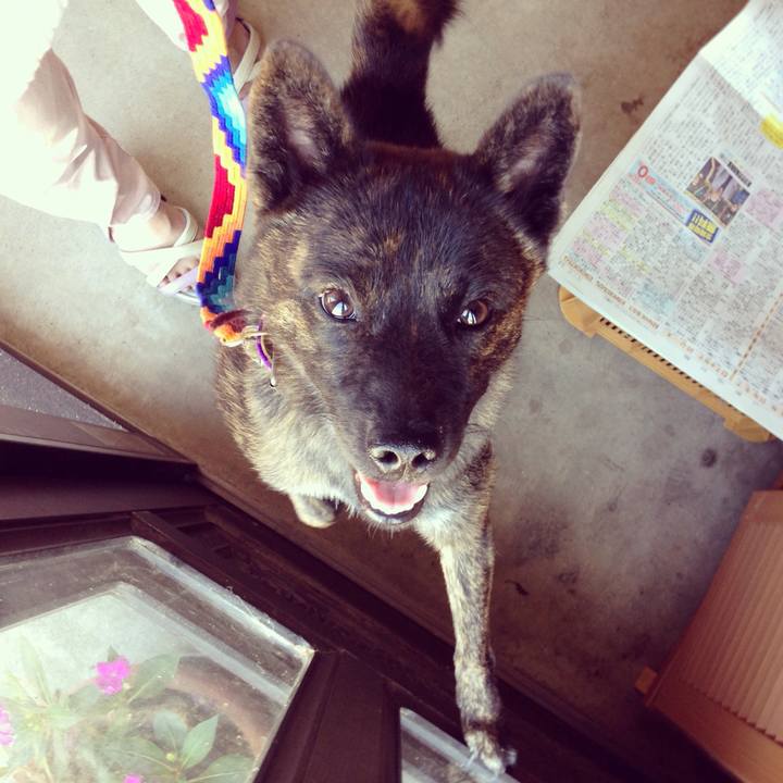 30c2ccd9 6d9f 4608 a706 cb4232ddb7d8