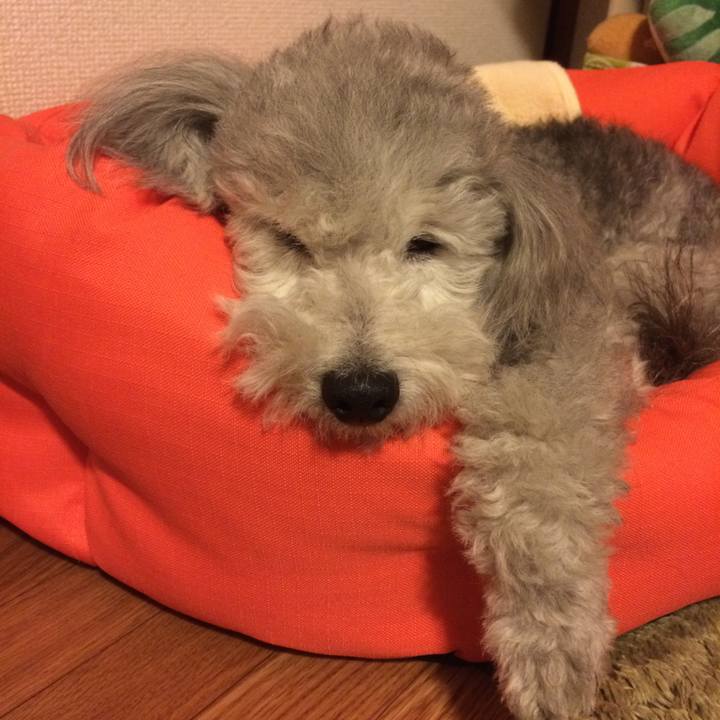 30c2d6bd 2e50 4666 b19d 2b54b992b021