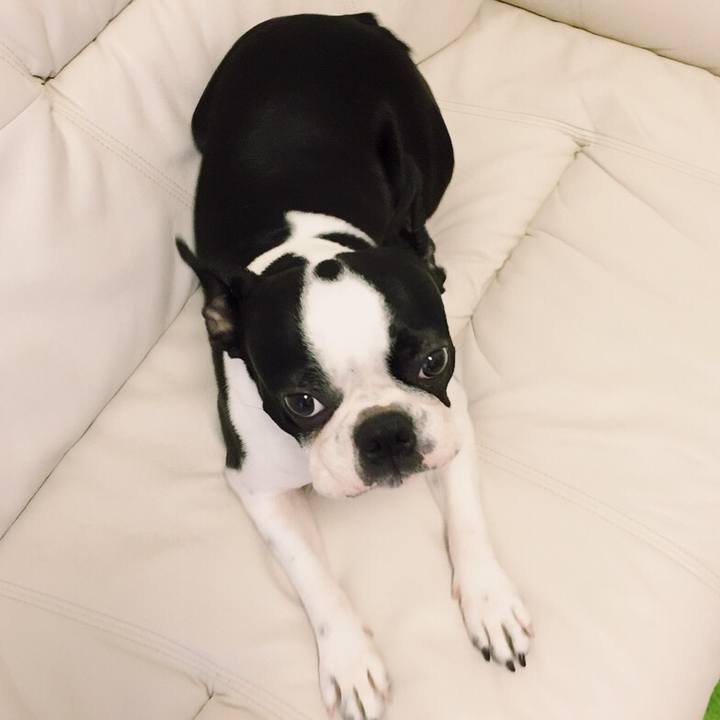 30c3d831 3f8e 4f7a 8e62 a8d3ce8cf8ad