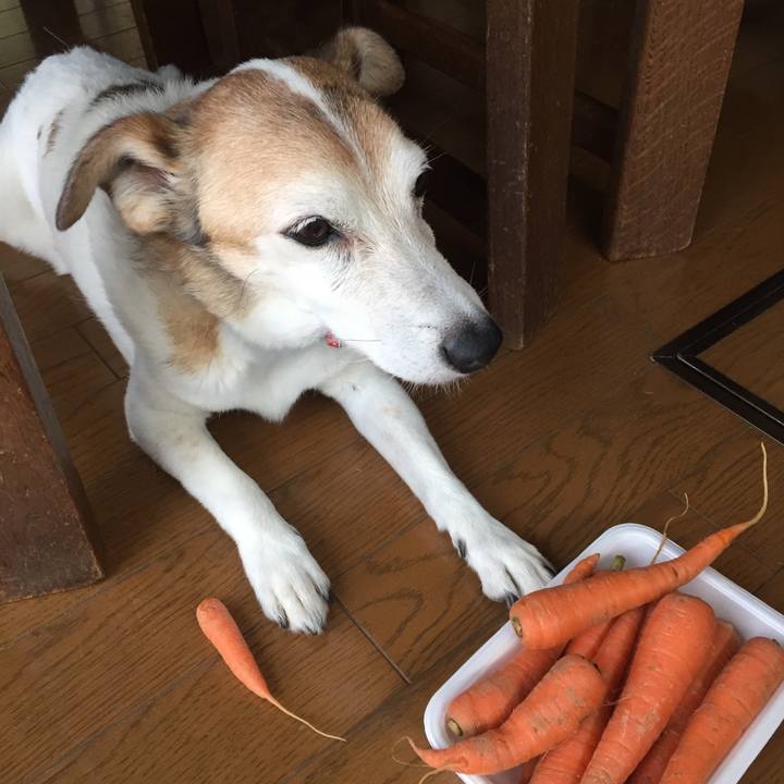 30c41de3 610b 4a2f 9979 aa9858b06b9d