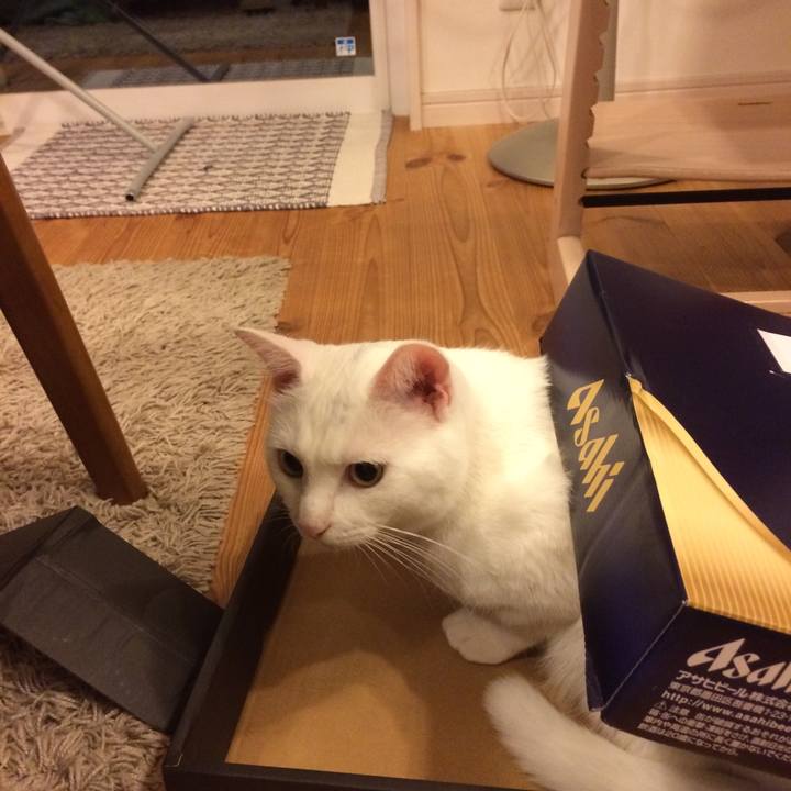 30c44e3d 3070 46ad ac0f 9ef5c950604a