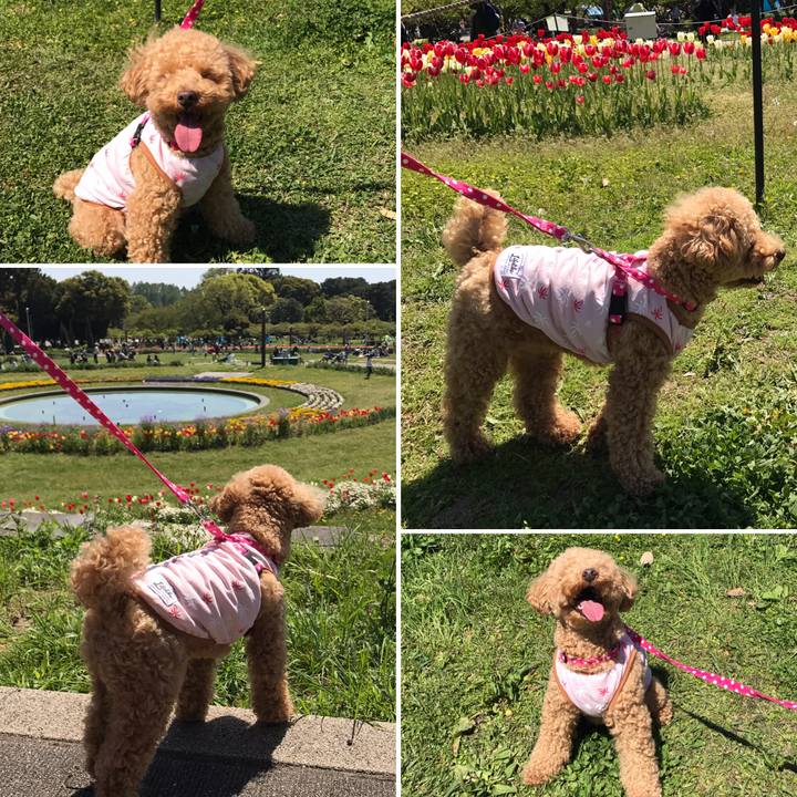 30c47530 ef32 426d bd37 cea240d647ff