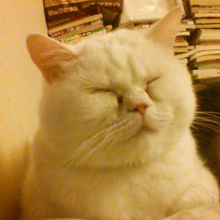 30c4d5cf f739 41dc bd4d e13b0a9ce8e9