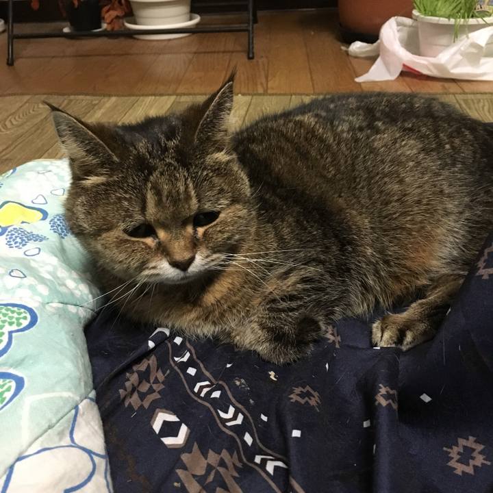 30c4e5a8 7bed 4e4a 9509 205461d14fe1