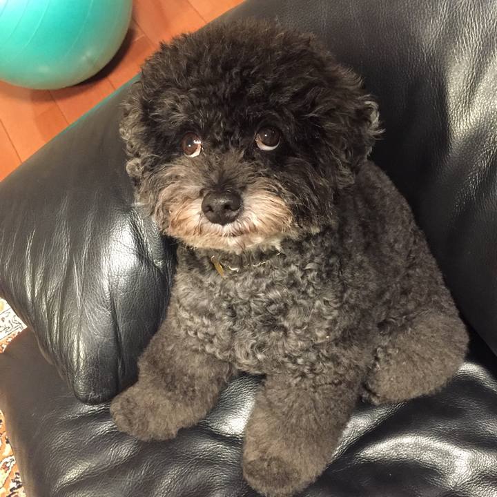 30c515db 887f 4fb0 9c3a 6b7a4ca52289