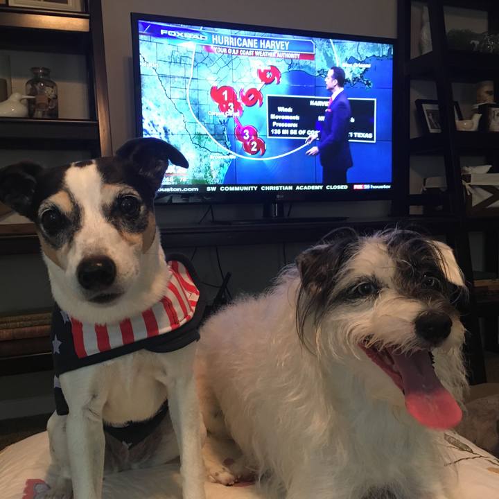 30c573d5 5402 4af2 b711 e7452296487c