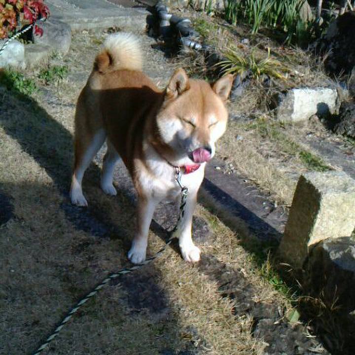 30c58d87 e840 482c ac90 d1ad4063bb2a