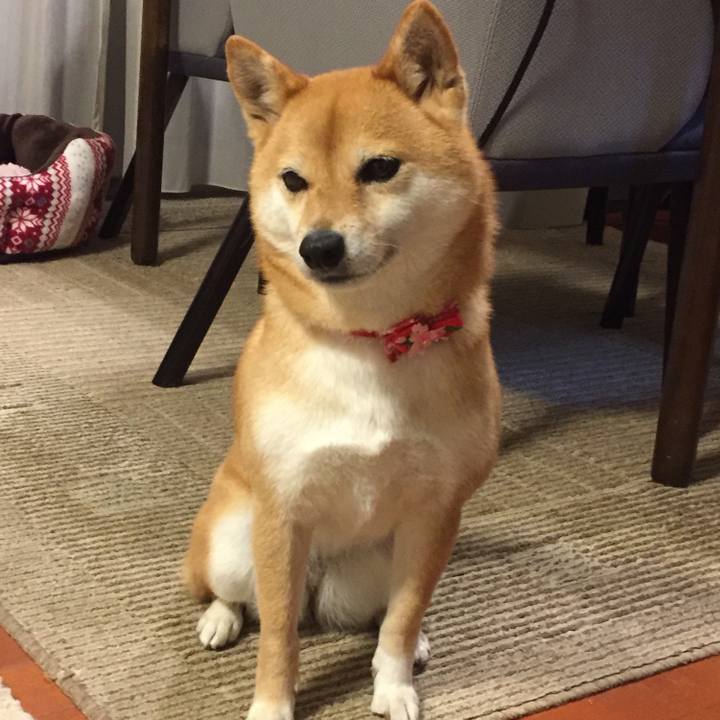 30c63f5a e977 4fd6 9afe 0535a4bc4b82