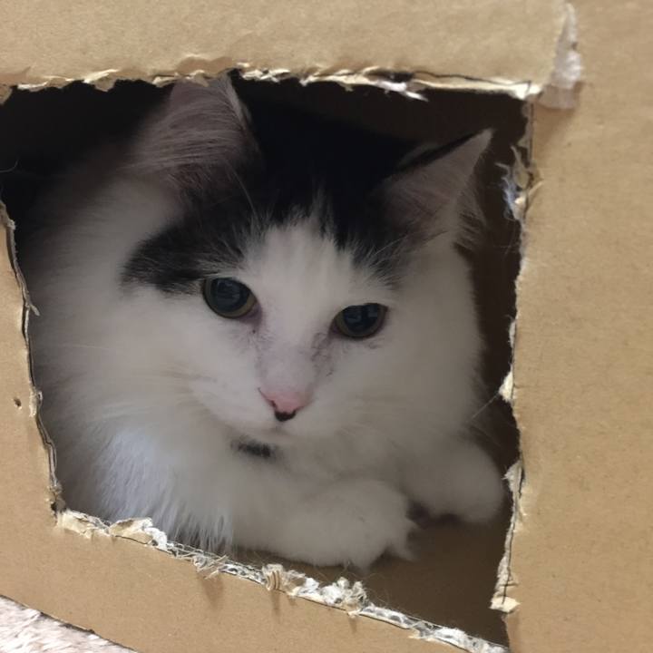 30c6efc2 de40 4f75 8323 daee6a32f476