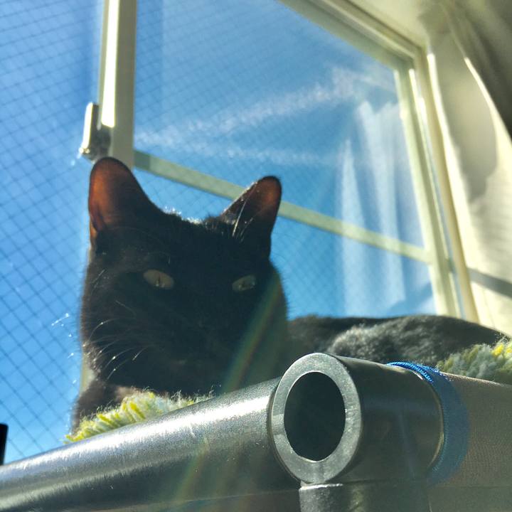 30c788cd 9e37 4521 93a8 e5e56ebbb39d