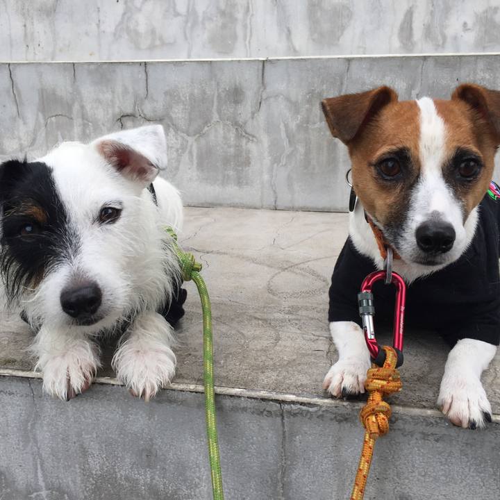 30c7b8bb 432d 423e 910b 6d51be90e072