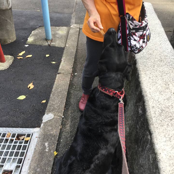 30c7fef0 1f4a 418f 9fd2 944ec9328da8