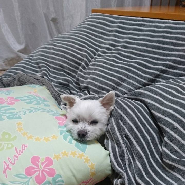 30c88aca b869 48b9 92f6 eb94a9c49eda