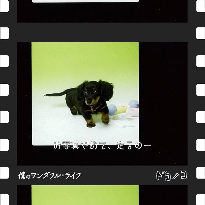 30c8fb10 e612 4b9e a494 0852f394c29e