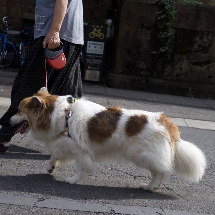 30c968cb f1af 4a54 963f 509fdf124d8d