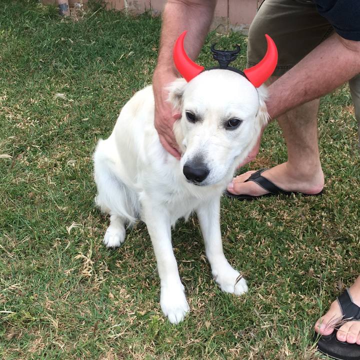 30c9bcd5 93de 4c1c 9d47 0552345b49bb