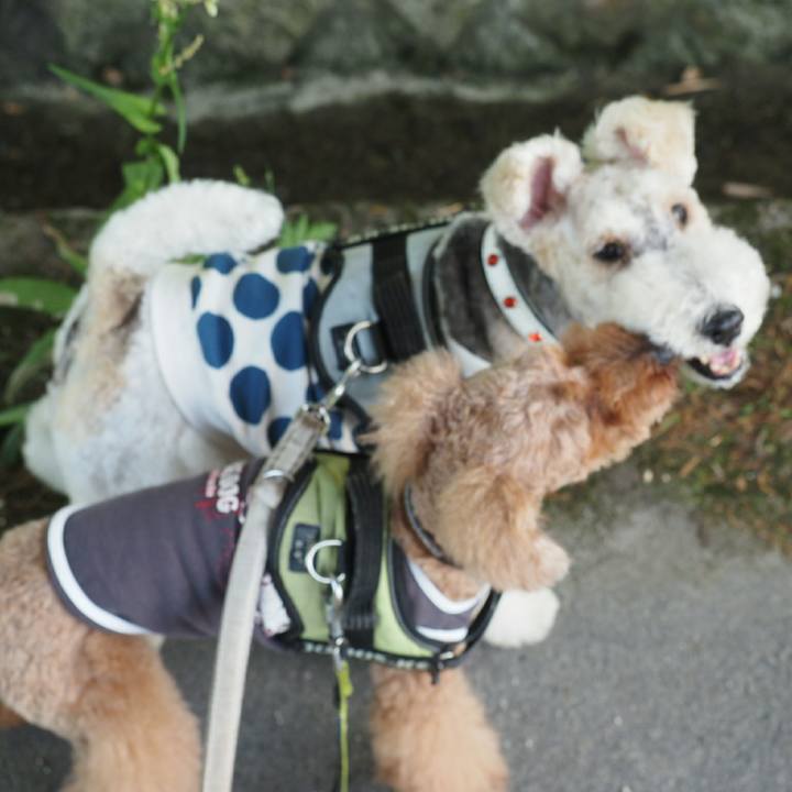 30ca0094 043c 49c4 969f bc6ff42da807