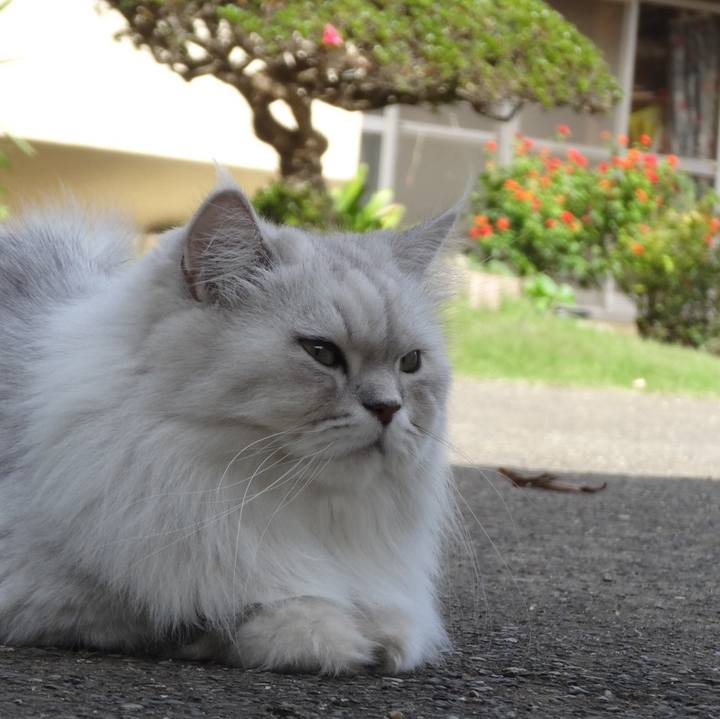 30ca2dfd e725 4468 97b7 871e479509bf