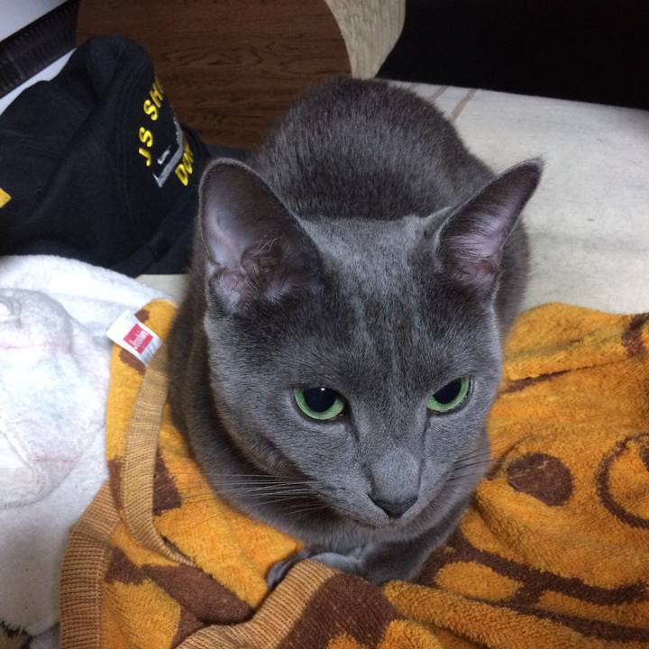 30ca5567 d04a 4bff 8515 1a69ea237687