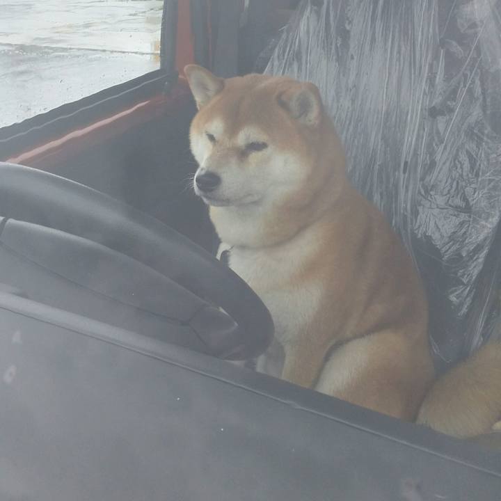 30ca7a4a 9e89 4b93 bbed b5968116ef38