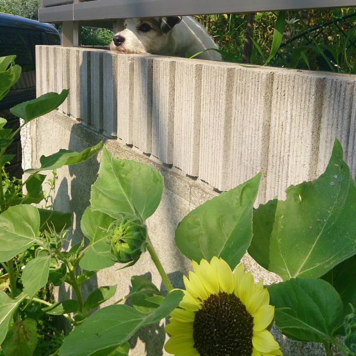 30cb1c92 c103 4982 83ad 8b244d4a3ab5