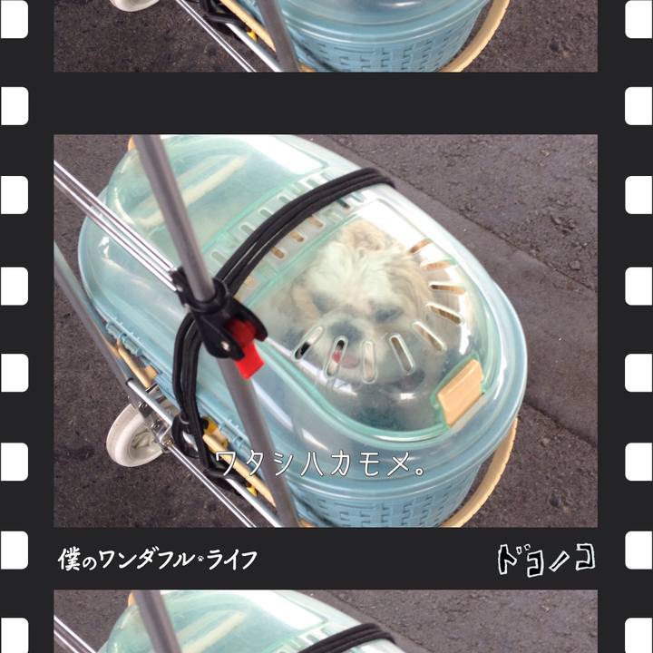 30cb5da2 c705 4929 abf8 0bd6d29f4ea5