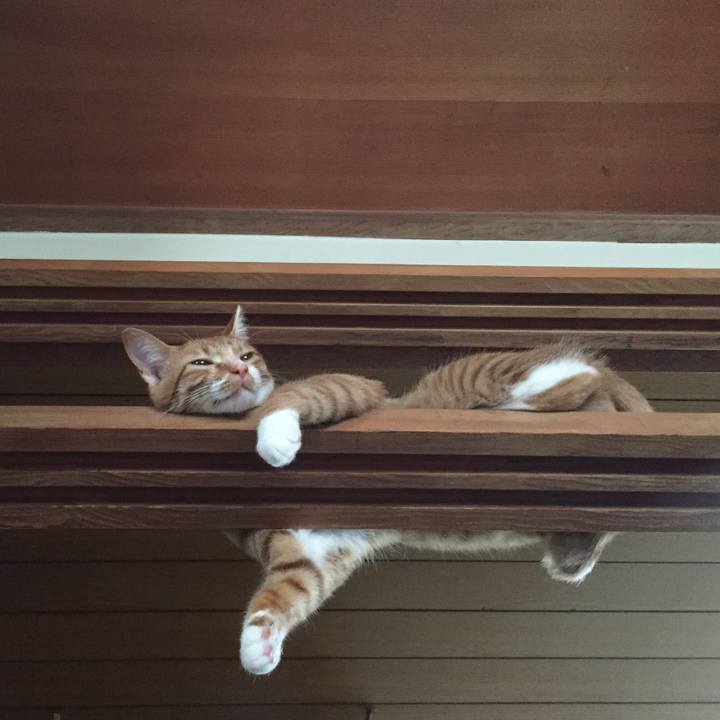 30ccf39d 7c94 4a04 a914 a569c3c74569