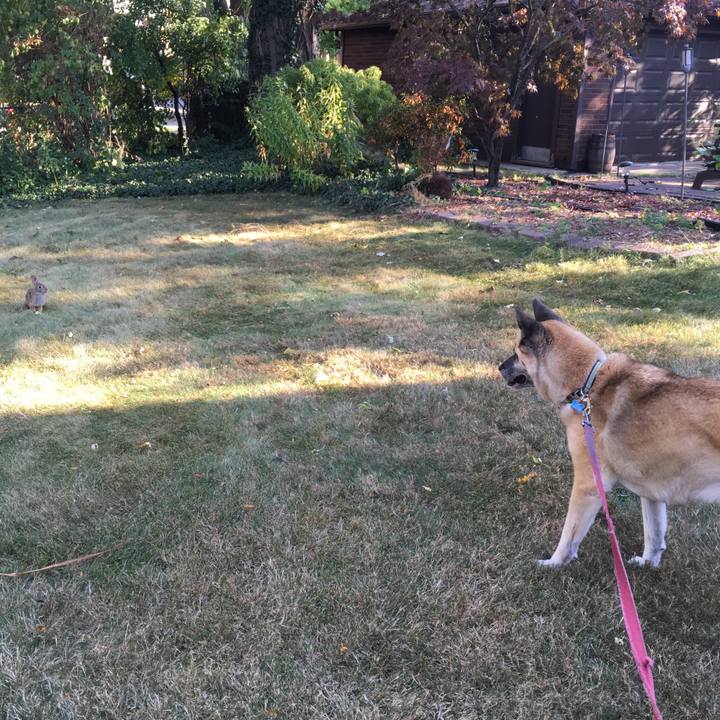 30cd8172 b396 43a3 8b76 5efe5ec01a04