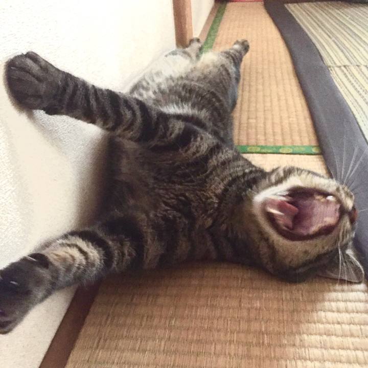 30cdd669 cd7a 4141 9f60 751f1c72dd06