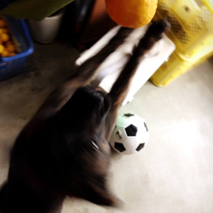 30cf4e6e 72db 41b0 88c4 67c28f5bf384