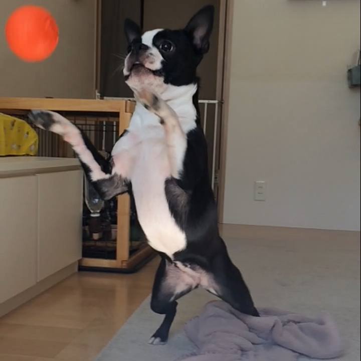 30cfbd89 4824 4369 954e b368401bf6b8