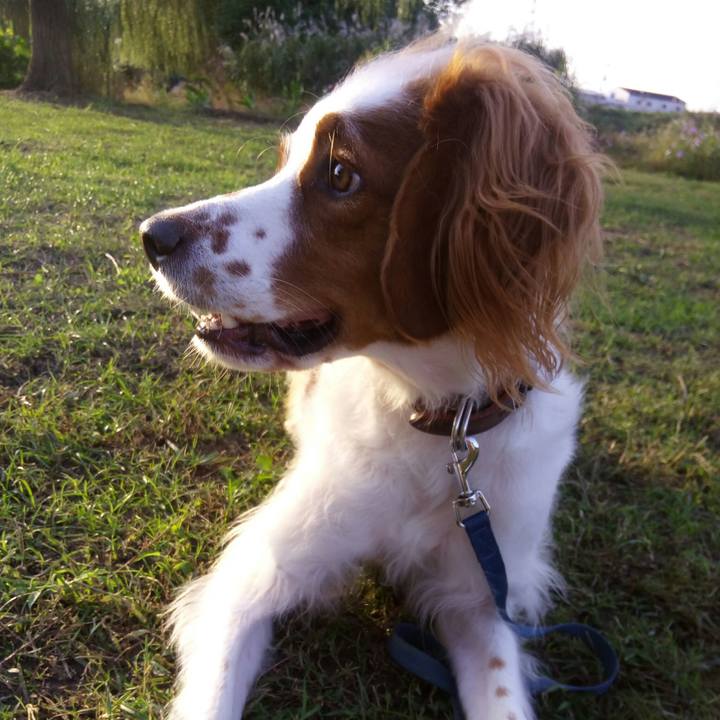 30d11eb9 9b81 4f52 a344 dab947a85bf3