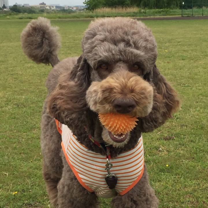 30d147c8 8b92 46ee b29a a91baf14ede4