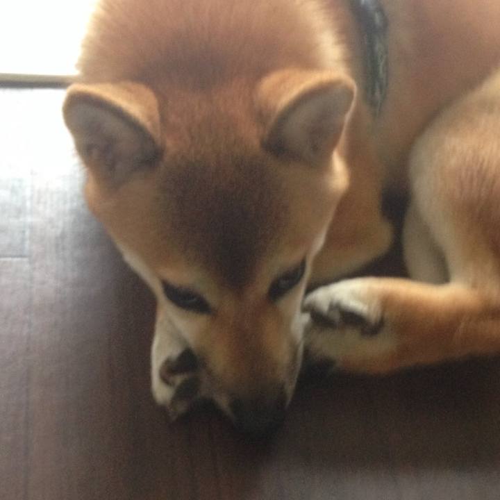 30d1b25b 11da 4330 86aa aef79989ff02