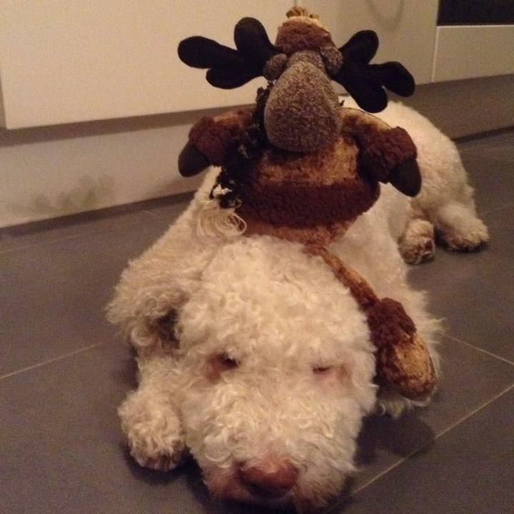 30d1ded6 b917 431a ac90 41d37a57f5e7