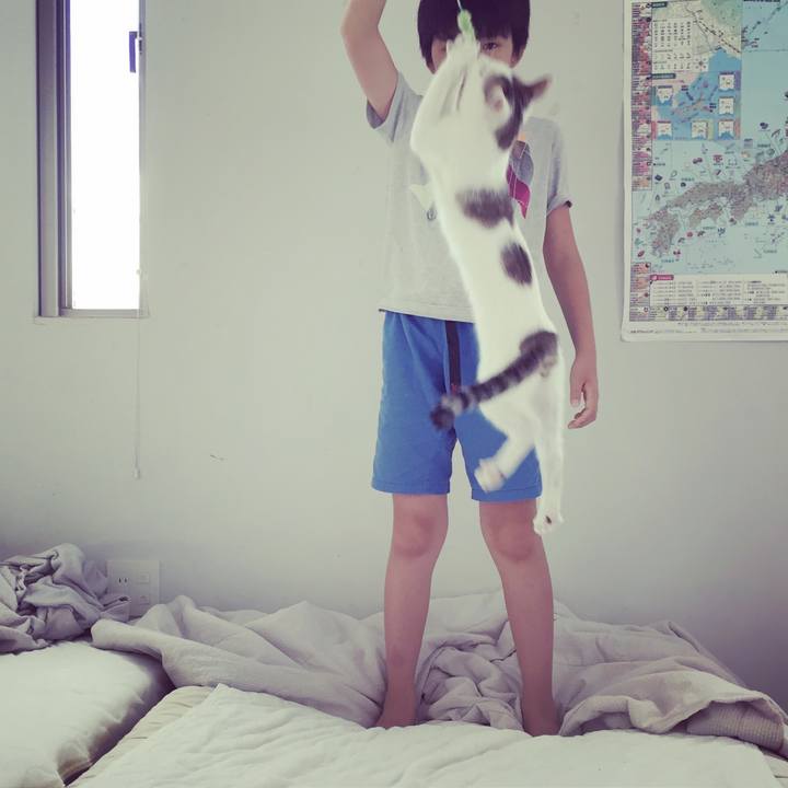 30d28031 f3e0 4db5 8834 65368f1fc442