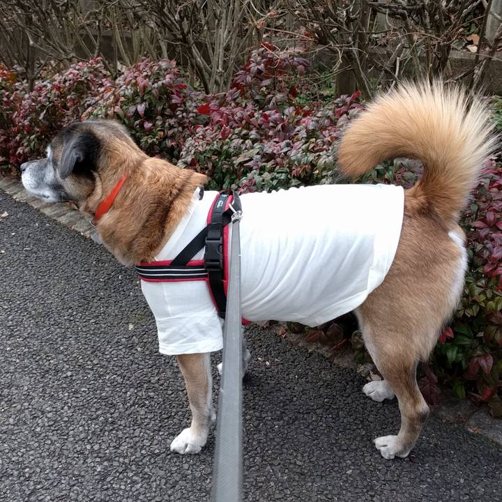 30d2b6a9 08e7 49fb bf51 c7b095ecd5b2