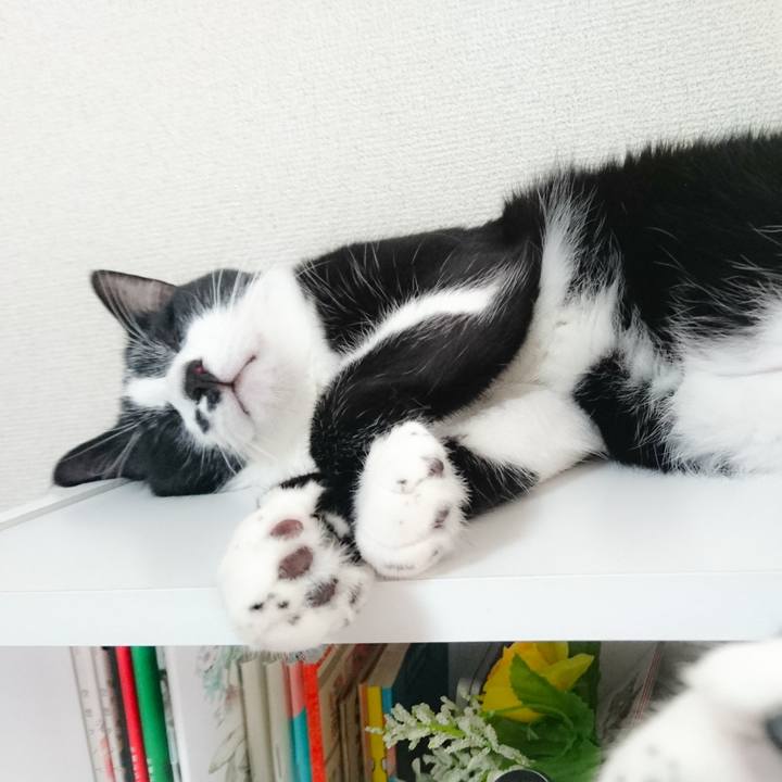 30d3ac0e e1e3 4340 89ba 3b1182695592